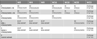 Multi-component prime-boost Chlamydia trachomatis vaccination regimes induce antibody and T cell responses and accelerate clearance of infection in a non-human primate model